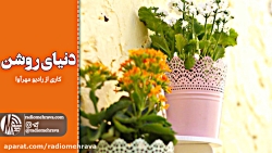 رادیو مهرآوا: دنیای روشن