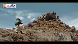 تریلر فیلم The tale of the hea...