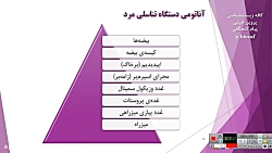 تدریس زیست&zwnj;شناسی یازدهم...