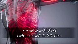 چه زیبا تلاوت دارد این جوان اف...