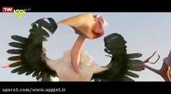 انیمیشن شهر پرنده ها