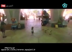 انیمیشن شهر حیوانات