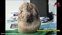 ۱۰ رکورد جهانی که کسی دوست ندا...