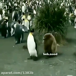 دابسمش مسخره کردن کرونا زمانی...