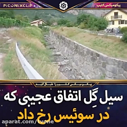 سیل گِل در سوئیس