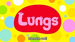 برای بچه ها ی شما