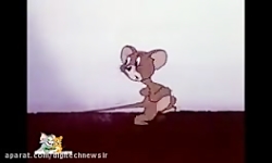 کارتون تام و جری  تام و جری