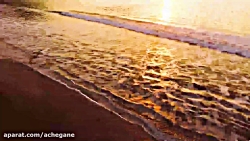 کلیپ زیبای طبیعت همراه با موسی...