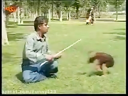 شیرین کاری های میمون