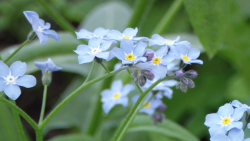 رویکردی مؤمنانه به ویروس کرونا...