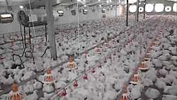 معرفی شرکت سیمرغ بهین دارو