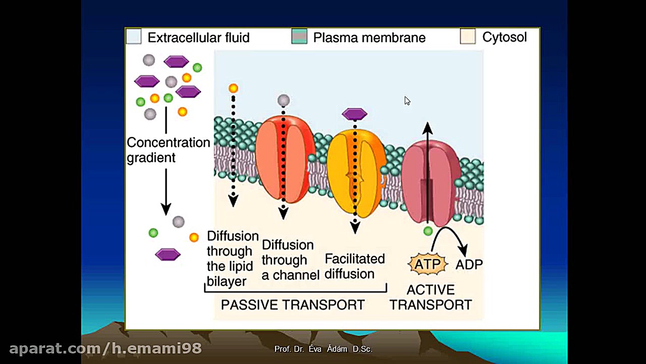 زیست شناسی میکروبی(میکروبیولوژی)-جلسه1 شکر پنیر