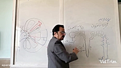 زیست ۱ دبیرستان دوره دوم امام...