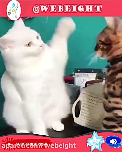 نزدیک بود دعوا بشه.. خشمشو فرو...