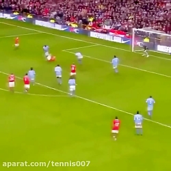 زیباترین گل ها در مستطیل سبز