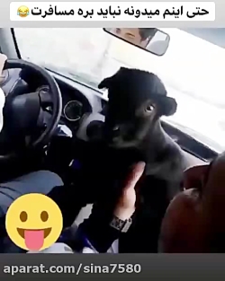 حتی این هم میدونه نباید برن سف...