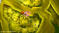 کارتون پلنگ صورتی | پلنگ صورتی...