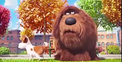 کارتون زندگی حیوانات متین گروه...