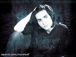 محسن یگانه  _____ نباش