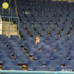 تماشاگر این روزای فوتبال به دل...