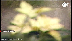 ترانه ای زیبا با صدای آقای نوی...