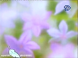 انیمیشن``هاچ زنبورعسل``قسمت: ۴...