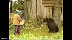 حمله حیوانات از فاصله نزدیک  ک...