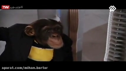 فیلم سینمایی روز وارونه