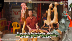 سگ های چین: طعمه زیاده خواهی ش...