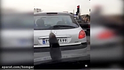 بارش بادمجان در غرب تهران (مشخ...