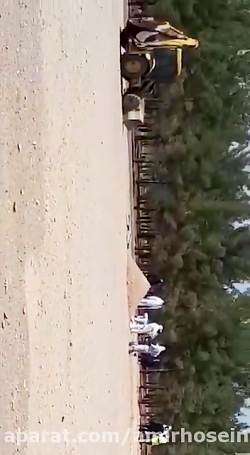 دفن بیماران کرونایی