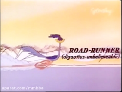 کارتون Road Runner and Coyote...