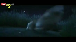 کارتون اردک اردک غاز