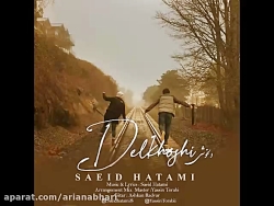 آهنگ جدید سعید حاتمی به نام دل...