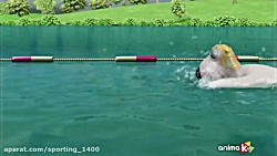 کارتون برنارد این داستان &quot...