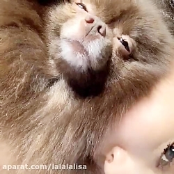 پست اینستاگرام جنی بلک پینک با...