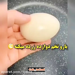 اگه تخم مرغ دوازده زرده ندیدی...