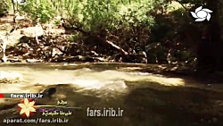 ترانه زیبای " دلی " با صدای آق...