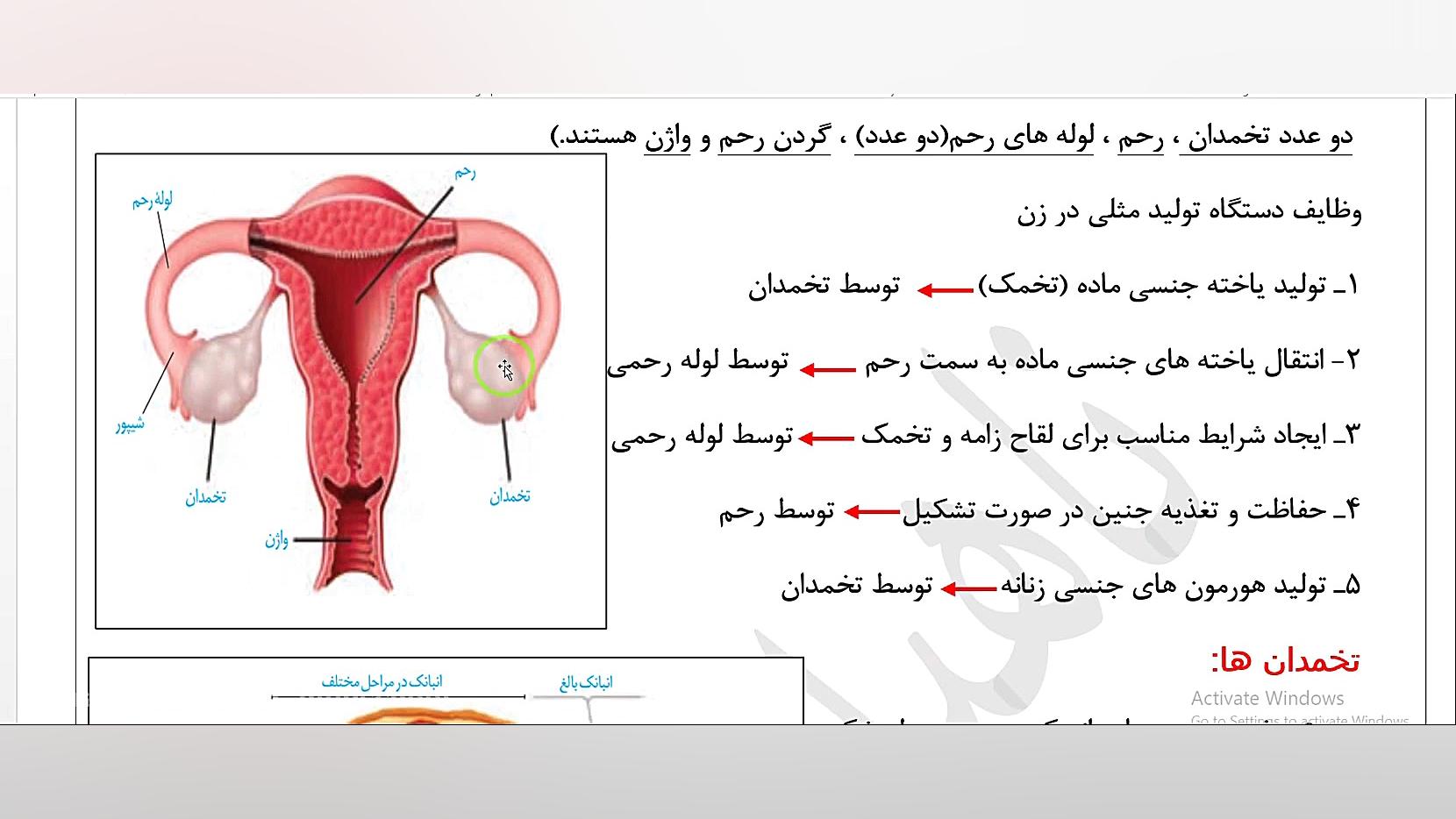معرفی اندام های دستگاه تولید مثلی در زن زیست 11 فصل 7 گفتار 1(ناصری) زمان721ثانیه