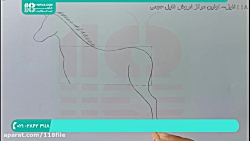 آموزش نقاشی کودکان | نقاشی کود...