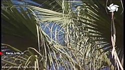 ترانه قشنگ " همین لحظه " با صد...