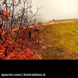 صدایی از جنس آرامش  حجت اشرف ز...