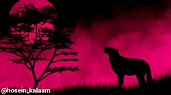 حسین کلام &nbsp; زوزه گرگ  کلی...