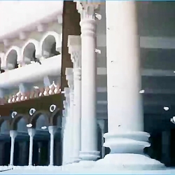 امام زمان (عج)