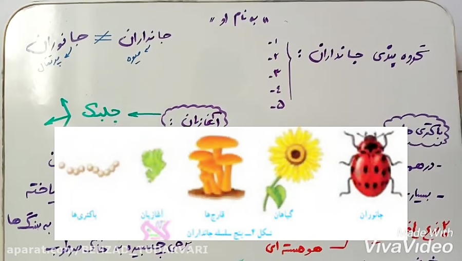 انواع جانداران و باکتریها