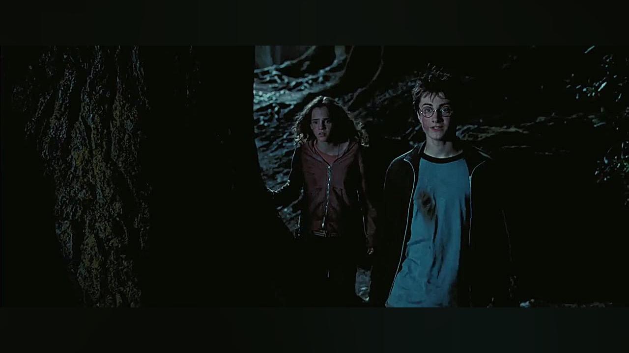 فیلم Harry Potter and the Prisoner of Azkaban 2004 دوبله فارسی و سانسور شده زمان8372ثانیه