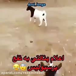 اعلام پنالتی به نفع پرسپولیس.....