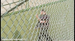 کلیپ های محمد امین کریم پور