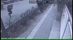 بازش بادمجان در اسمان تهران