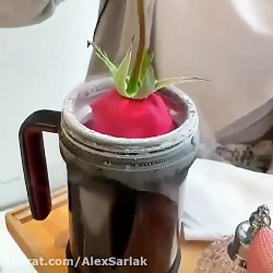 دیدنی های جذاب8عالی